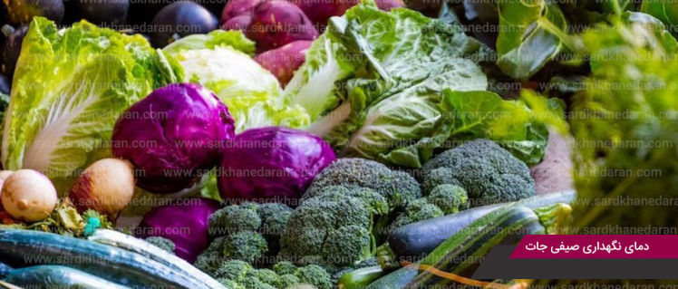 شرایط و دمای نگهداری سبزیجات و صیفی جات